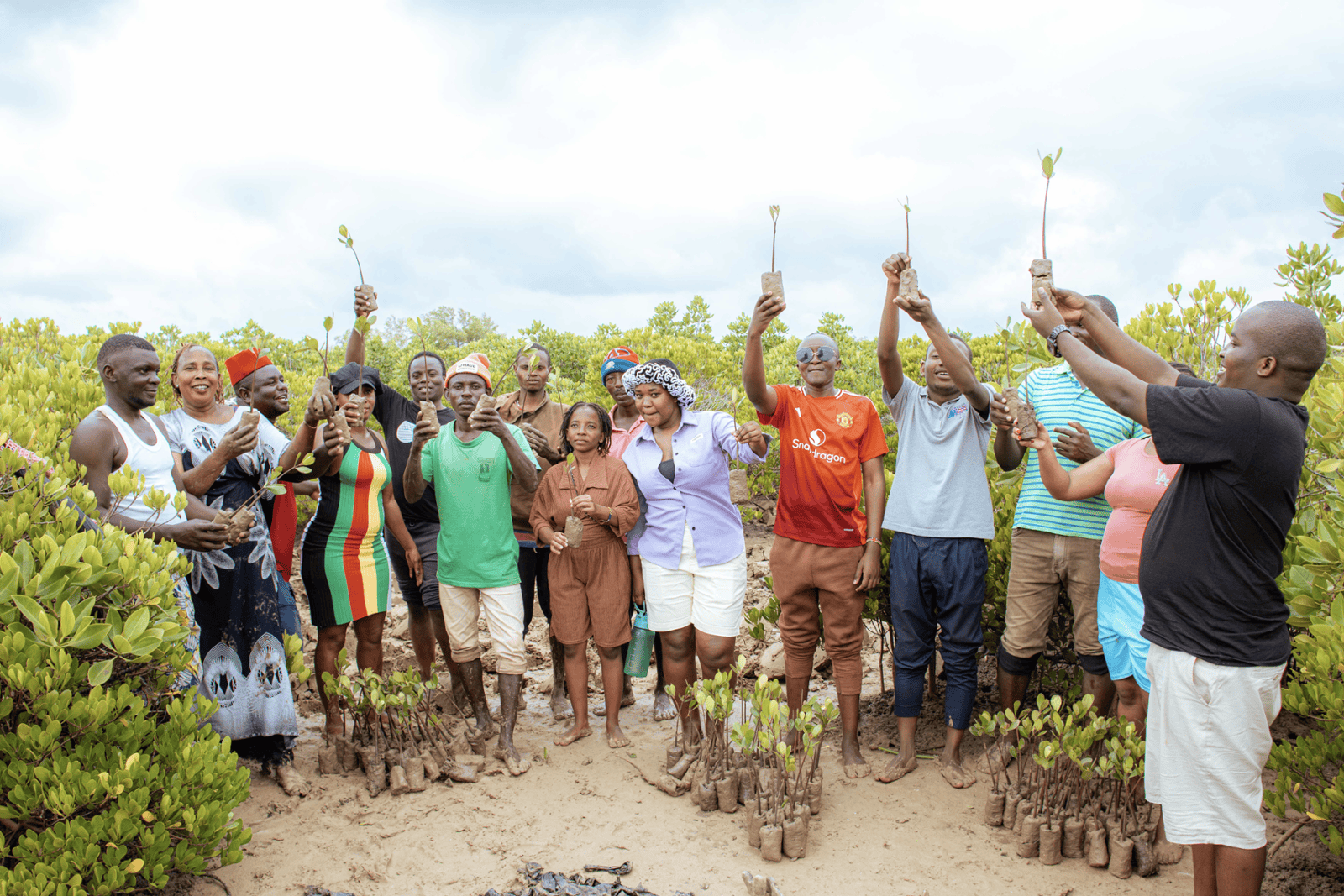 GiftTrees Partners with Naturehub Collective for 2026: Empowering Women to Restore Kenya’s Mangroves